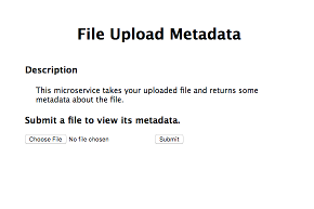 File Upload Metadata Microservice