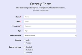 Survey Form